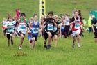 Blue start, North-East Harriers League, Cramlington